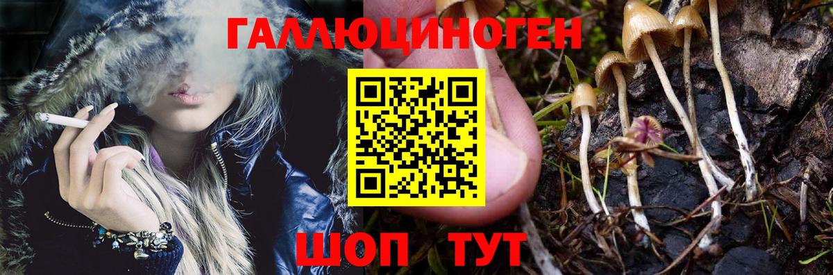 МЕФ Корсаков